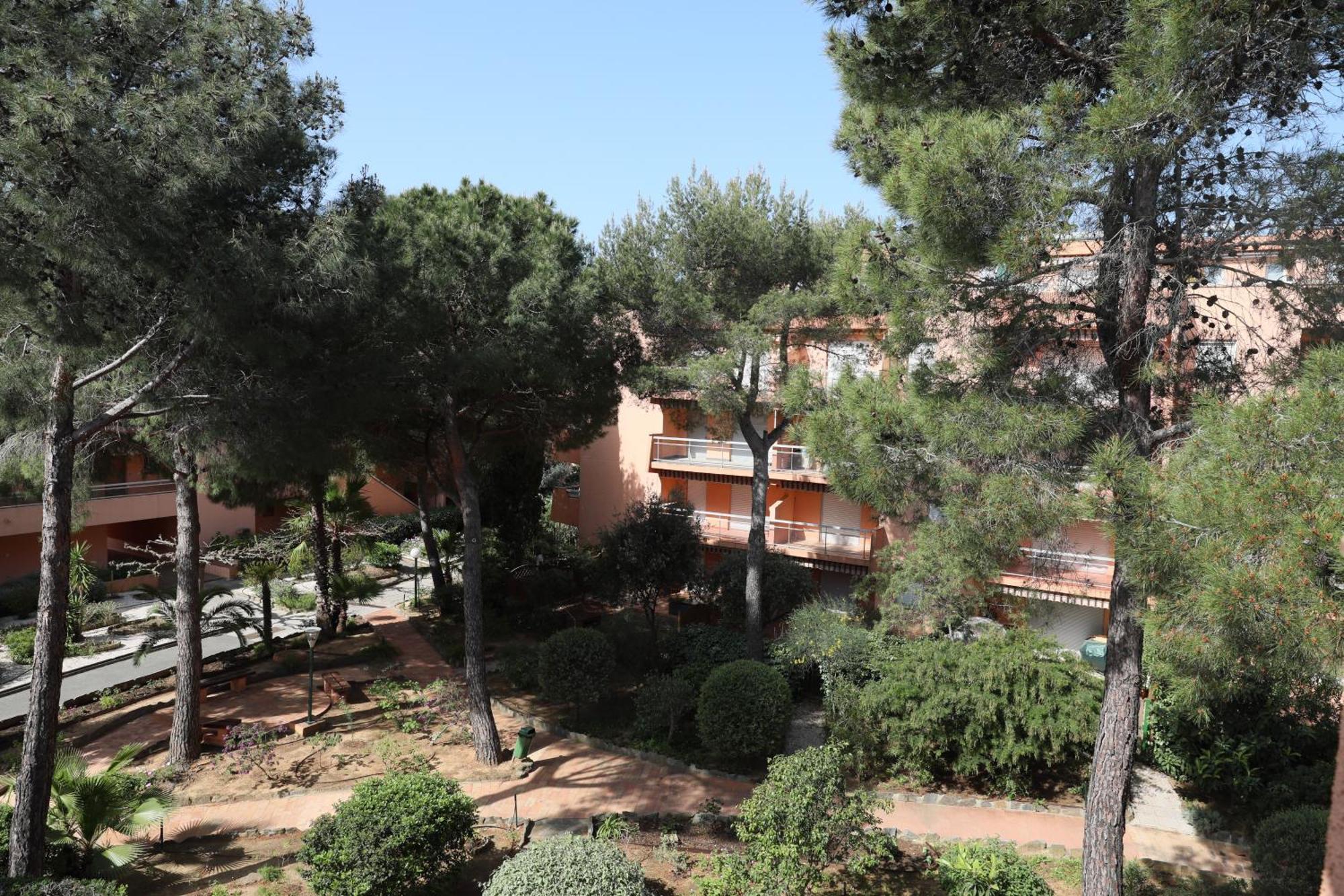 L'Amiraute 150M De La Plage Bormes-les-Mimosas Eksteriør bilde